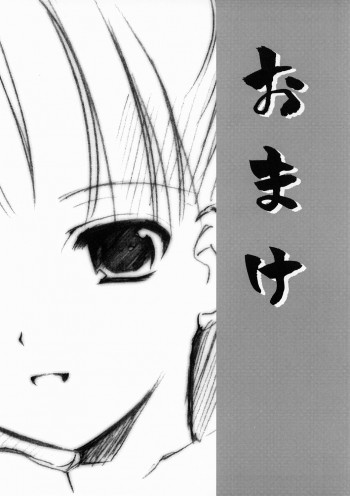 おまけの表紙画像