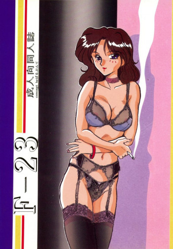 Ｆ-23の表紙画像