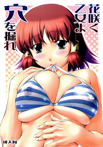 花咲く乙女よ穴を掘れの表紙画像