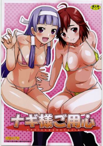 ナギ様ご用心の表紙画像