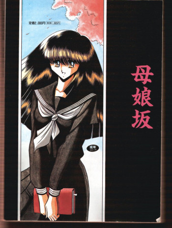 母娘坂 下巻の表紙画像