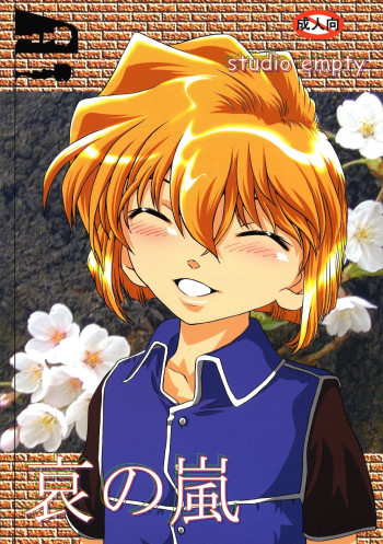 哀の嵐の表紙画像