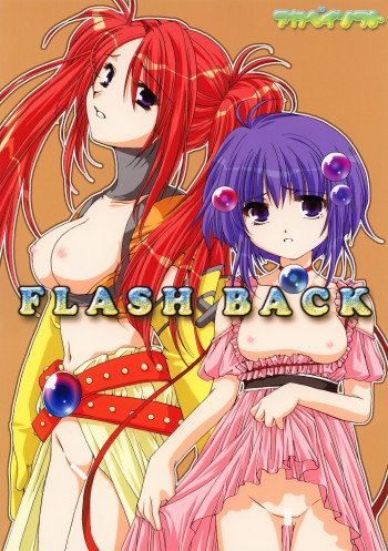 FLASH BACKの表紙画像