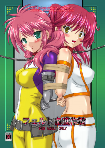 フェルト鹵獲作戦の表紙画像