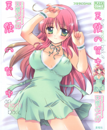 天使の背中の表紙画像