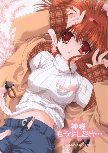 神様もう少しだけ…の表紙画像