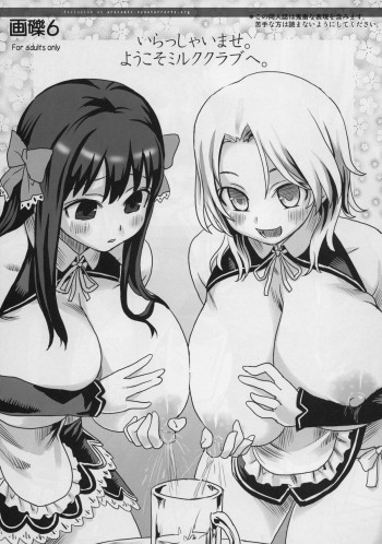 画礫6の表紙画像