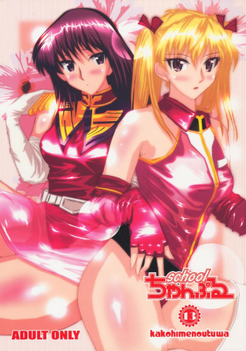 school ちゃんぷるー 13の表紙画像