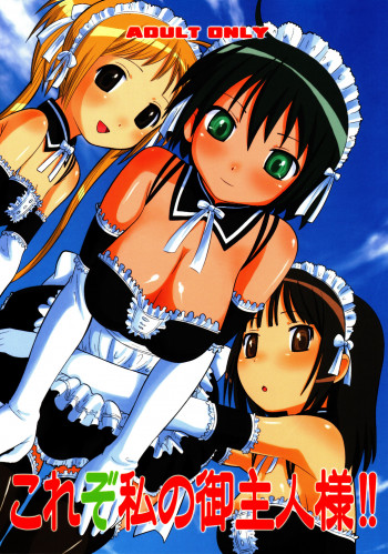 これぞ私のご主人様の表紙画像