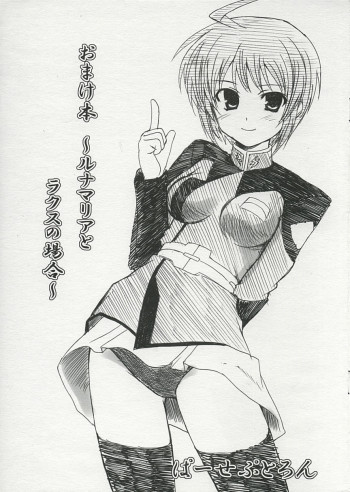 おまけ本 ～ルナマリアとラクスの場合～の表紙画像