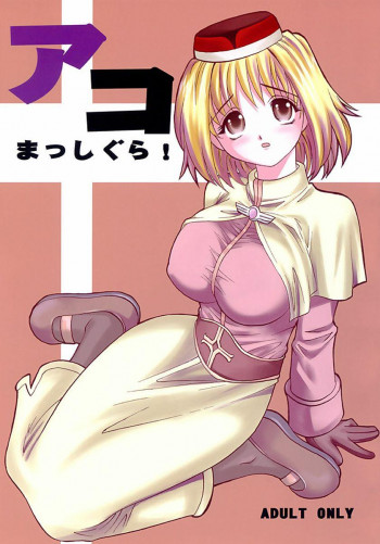 アコまっしぐら!の表紙画像