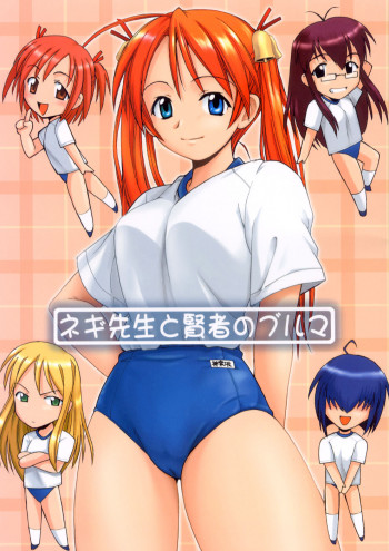 ネギ先生と賢者のブルマの表紙画像