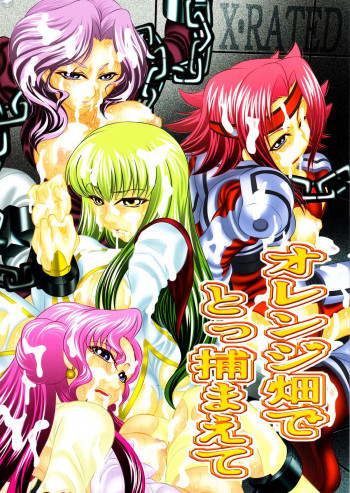 オレンジ畑でとっ捕まえての表紙画像