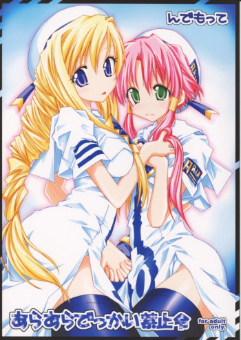 あらあらでっかい禁止令の表紙画像