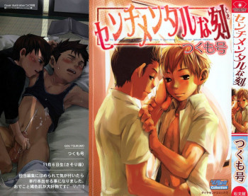 センチメンタルな刻の表紙画像