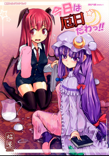 今日は厄日だわっ!!の表紙画像