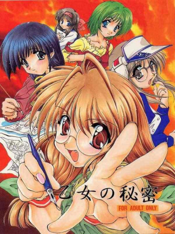 乙女の秘密の表紙画像