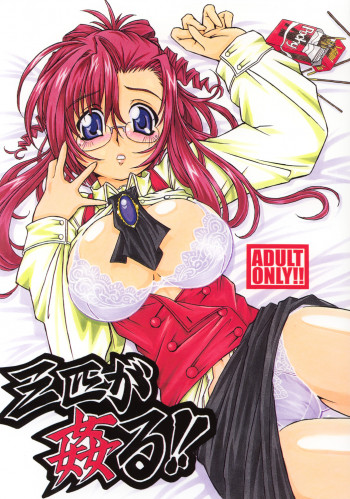 三匹が姦る!!の表紙画像