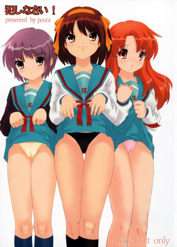 犯しなさい!の表紙画像