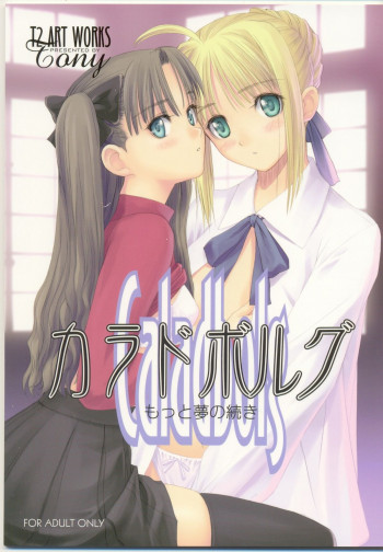 カラドボルグもっと夢の続きの表紙画像