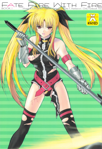 FATE FIRE WITH FIREの表紙画像