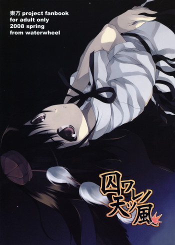 囚ワレノ天ツ風の表紙画像