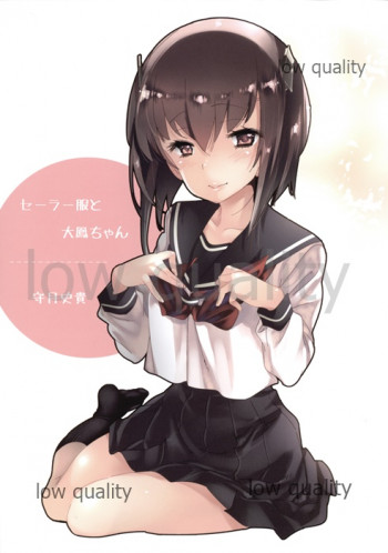 セーラー服と大鳳ちゃんの表紙画像