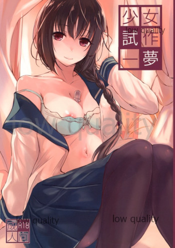 少女試作一夢の表紙画像