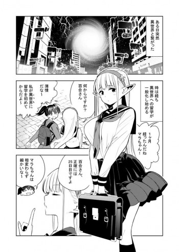 フタナリのエルフの表紙画像
