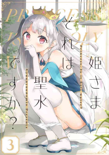 姫さまそれは聖水ですか? 3の表紙画像