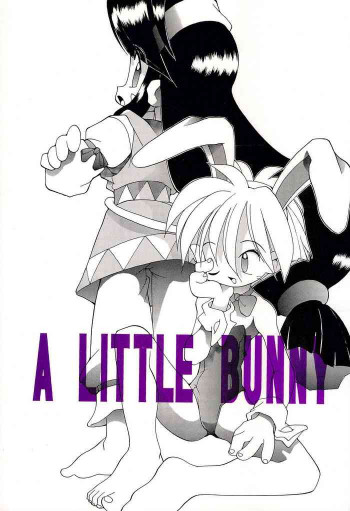 A Little Bunnyの表紙画像