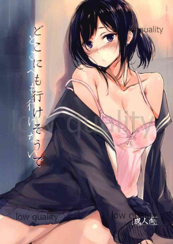 どこにも行けそうでどこへも行けないの表紙画像