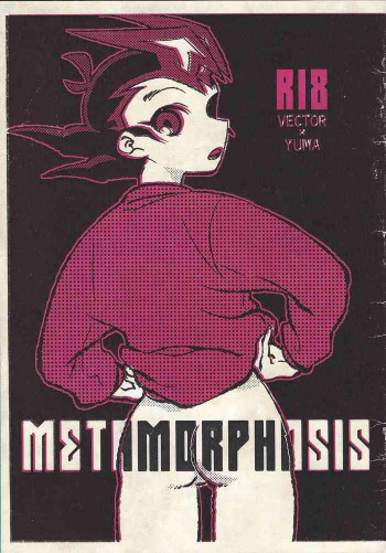 METAMORPHOSISの表紙画像