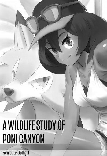 A Wildlife Study of Poni Canyonの表紙画像