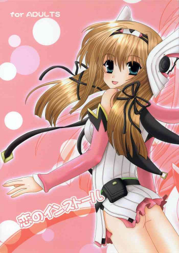 恋のインストールの表紙画像