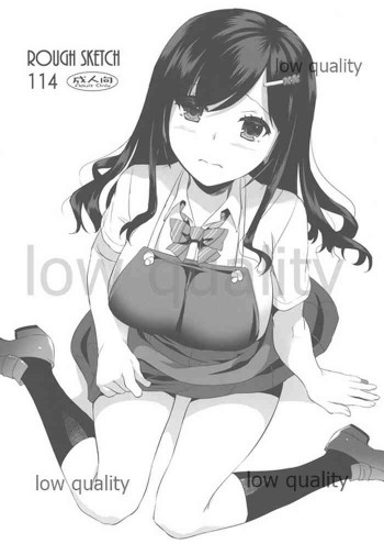 ROUGH SKETCH 114の表紙画像