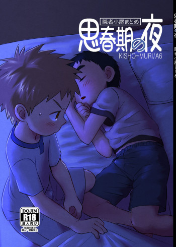 思春期の夜 [DL版]の表紙画像