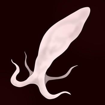 搾精生物の表紙画像
