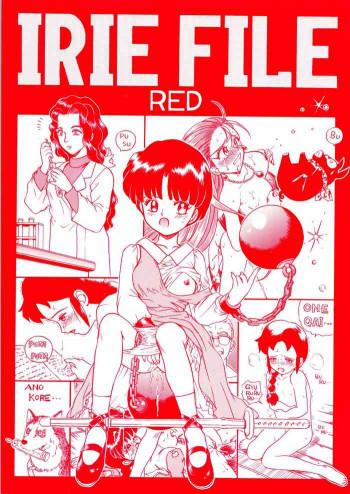 IRIE FILE REDの表紙画像