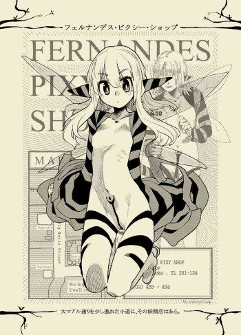 フェルナンデス ピクシー ショップの表紙画像