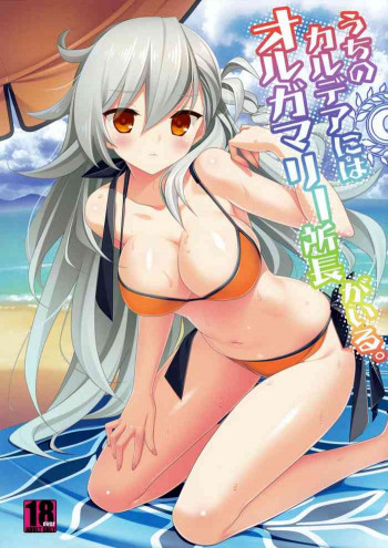 うちのカルデアにはオルガマリー所長がいる。の表紙画像