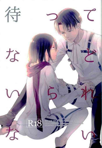 待ってなどいられないの表紙画像