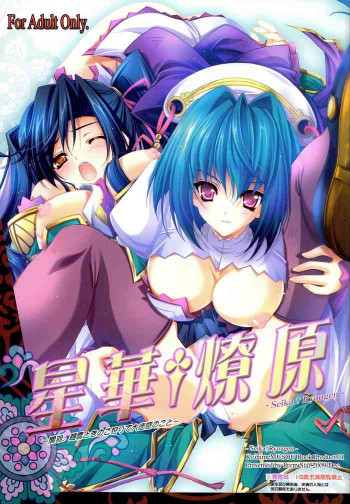星華†燎原の表紙画像