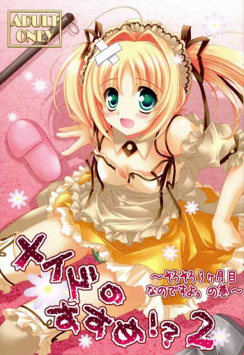 メイドのすすめ!?2 ~そろそろ3ヶ月目なのですよ。の巻~の表紙画像