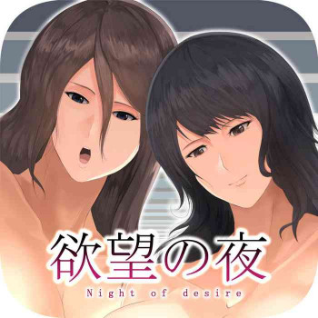 欲望の夜の表紙画像