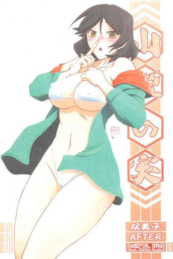 山姫の実 双美子 AFTERの表紙画像