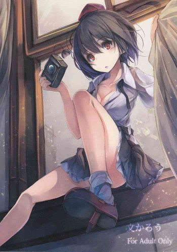 文かろうの表紙画像