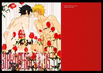 STRAWBERRY-FIELDSの表紙画像