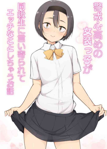 警戒心高めの女装っ子が同級生に言い寄られてエッチなことしちゃうお話の表紙画像