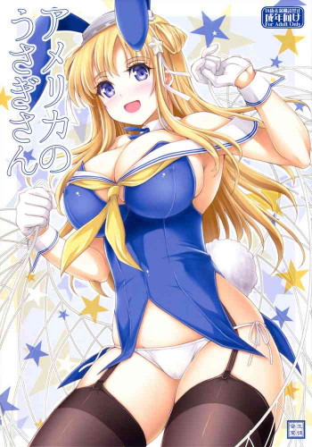 アメリカのうさぎさんの表紙画像